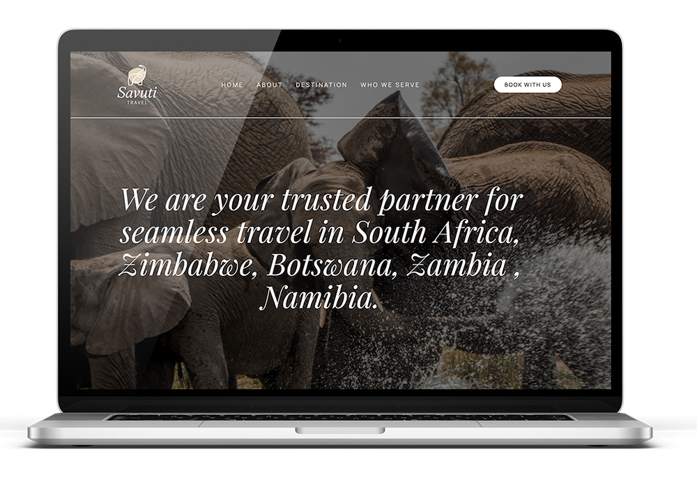 Website Mockup - Savuti
